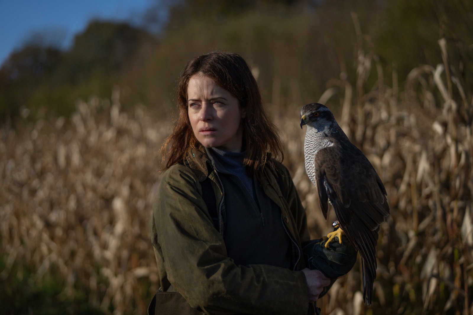 Start verkoop Filmkring 2026/2027