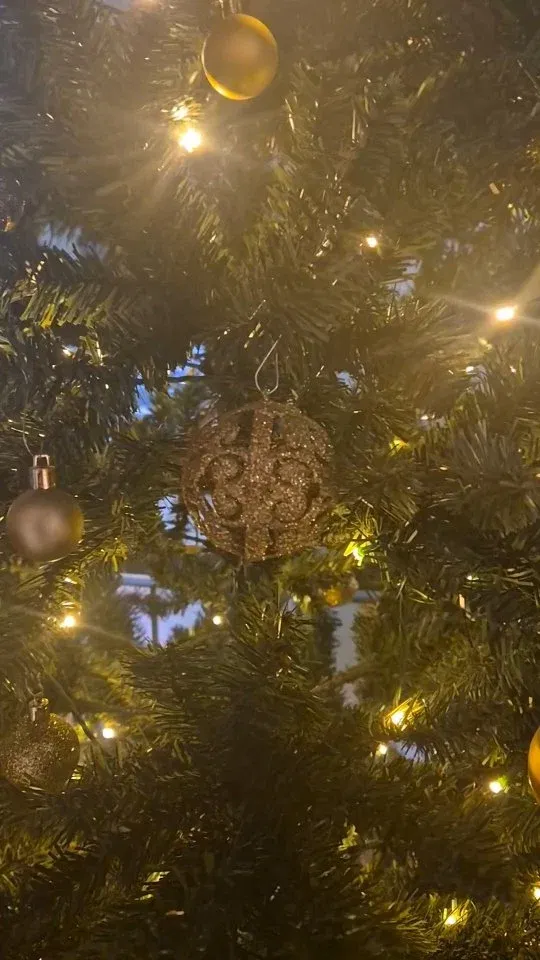 Terwijl de kerstboom wordt opgetuigd, zorgt ons café-restaurant voor de warmte. Trakteer jezelf op een romige warme chocolademelk of geniet van onze heerlijke soep van de dag. ✨🎄

#cafelux #nijmegen #christmas #filmavond