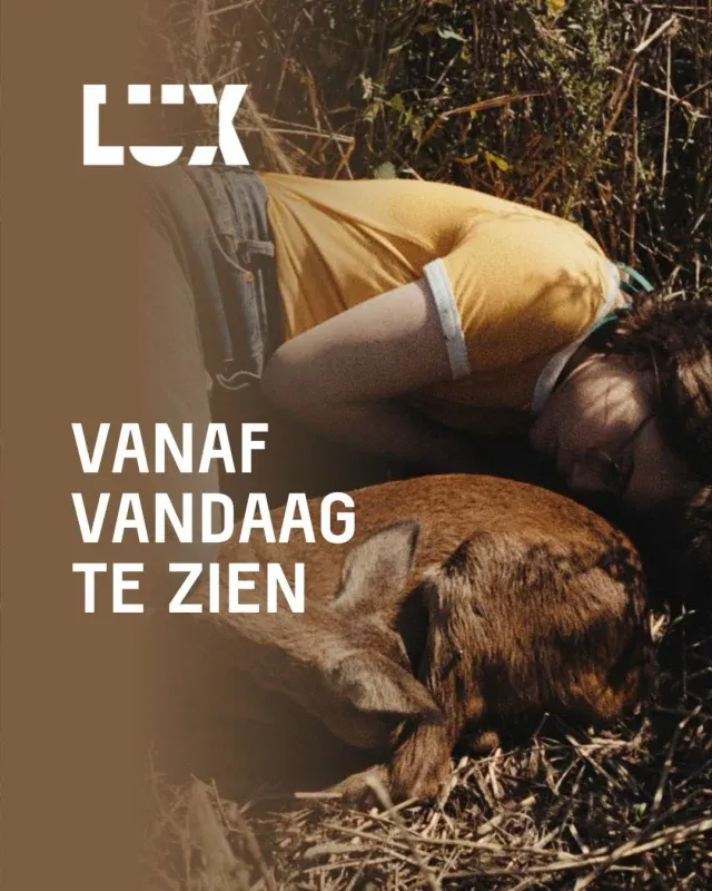 🎬 Vanaf vandaag draaien er zes nieuwe films op het grote doek.

Van intieme verhalen tot spannende mysteries: dit zie je nu op het grote doek.

🍃 Sound of Falling
Spookachtig drama over vier generaties meisjes verbonden en gevangen door een gedeeld verleden.

📁 Dossier 137
Franse politiethriller over een onderzoekster die steeds dieper vastloopt in een zaak rond politiegeweld.

🦌 Whitetail
Een confrontatie met oude trauma’s wanneer verleden en heden elkaar in de Ierse natuur raken.

🌙 Mohammed & Paul – Once Upon a Time in Tangier
Intiem portret van auteur Mohammed Mrabet en zijn bijzondere vriendschap met schrijver Paul Bowles.

🌲 Whispers in the Woods
Drie generaties Munier doorkruisen de bossen van de Vogezen terwijl ze luisteren naar dieren, herinneringen en stilte.

👰 The Bride!
Nieuwe interpretatie van Frankenstein waarin een vrouw tot leven komt en een explosieve vlucht begint.

✨ Naar welke film kijk jij het meest uit?

#lux #luxnijmegen #arthouse #premiere #filmpremiere