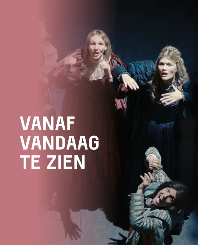 🎬 Donderdag = premièredag!

Heb genoeg van de hitte en wil je ontsnappen naar een koele zaal? Vanaf vandaag zijn deze films bij ons te zien. 

🎭De la Comédie-Française
Bij de Comédie-Française geldt één gouden regel: de voorstelling gaat altijd door. Jammer genoeg lijkt er verder niets door te gaan. Een chaotische komedie over een première bij het oudste nog spelende theatergezelschap ter wereld.

👭Little Trouble Girls
Het indrukwekkende regiedebuut van Urška Djukić. Een intiem en sensueel coming-of-age drama over de 16-jarige Lucia die haar seksualiteit ontdekt binnen de strikte omgeving van een katholiek klooster.

🎨The Christophers
Julian Sklar (Ian McKellen) was ooit een belangrijke kunstenaar in de Londense popartscene. Zijn vervreemde kinderen azen op een lucratieve erfenis en schakelen kunstrestaurator Lori (Michaela Coel) in om die te bemachtigen.

🏗️Värn
Een poëtische en observerende film over angst, idealisme en de dunne grens tussen bescherming en obsessie, gezien door de ogen van een Zweedse landarbeider die steeds meer in de ban van de dreiging van de Koude Oorlog raakt.

🦊Wild Foxes
Het prijswinnende filmdebuut van de Brusselse regisseur Valéry Carnoy over een jonge bokser en de druk om te presteren. Dit sterke coming-of-age drama kreeg lovende kritieken op het filmfestival van Cannes.

🥮Blue Sun Palace (Previously Unreleased)
Het speelfilmdebuut van regisseur Constance Tsang vertelt het verhaal van drie Chinese arbeidsmigranten in New York. De film won meerdere prijzen op internationale filmfestivals, waaronder Beste Actrice, Beste Acteur en Beste Speelfilmdebuut.

#LUX #LUXNijmegen #arthouse #premiere #filmtips